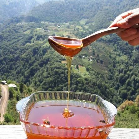 Macahel Balı