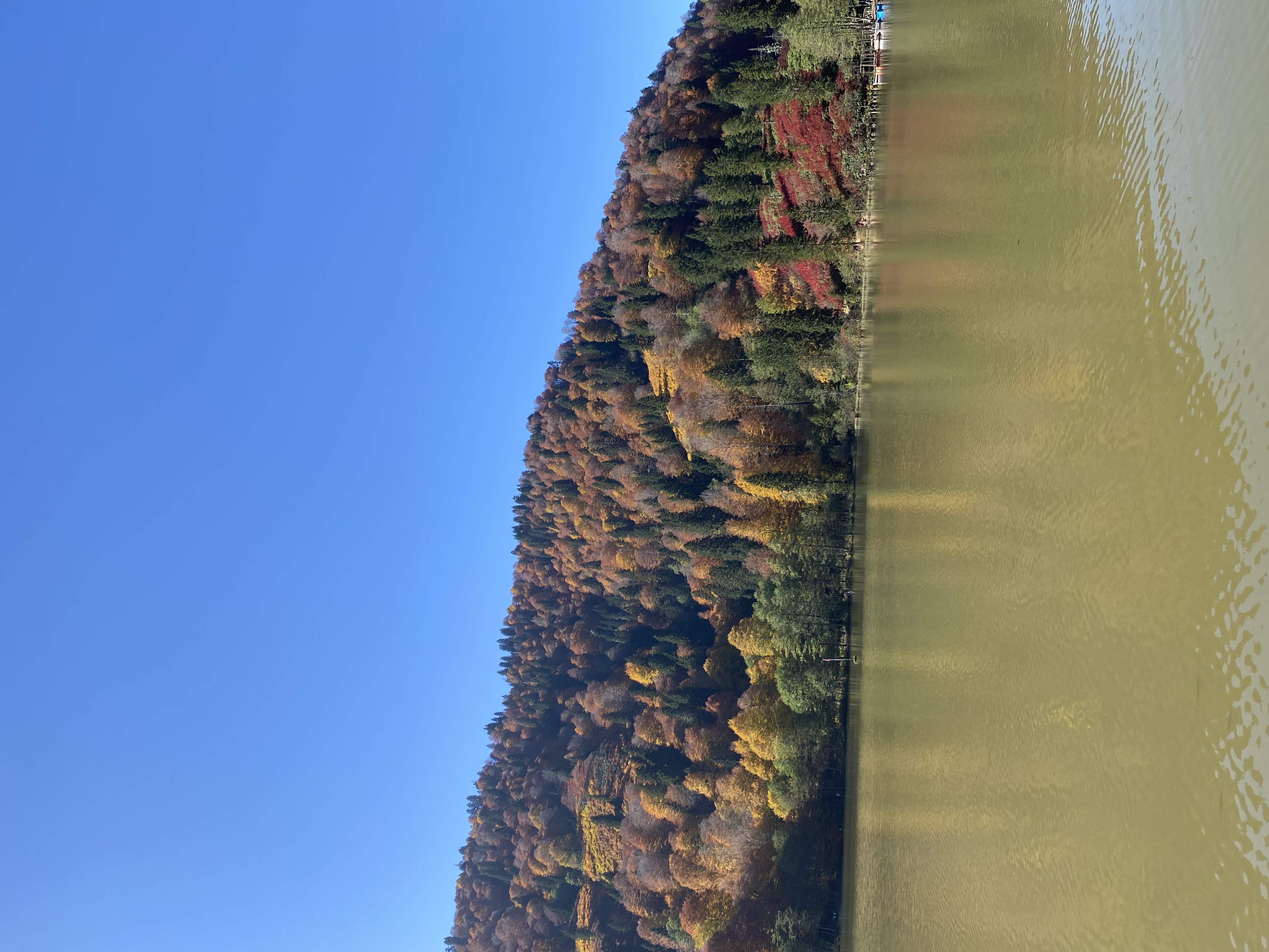 Artvin Borçka Karagöl manzarası