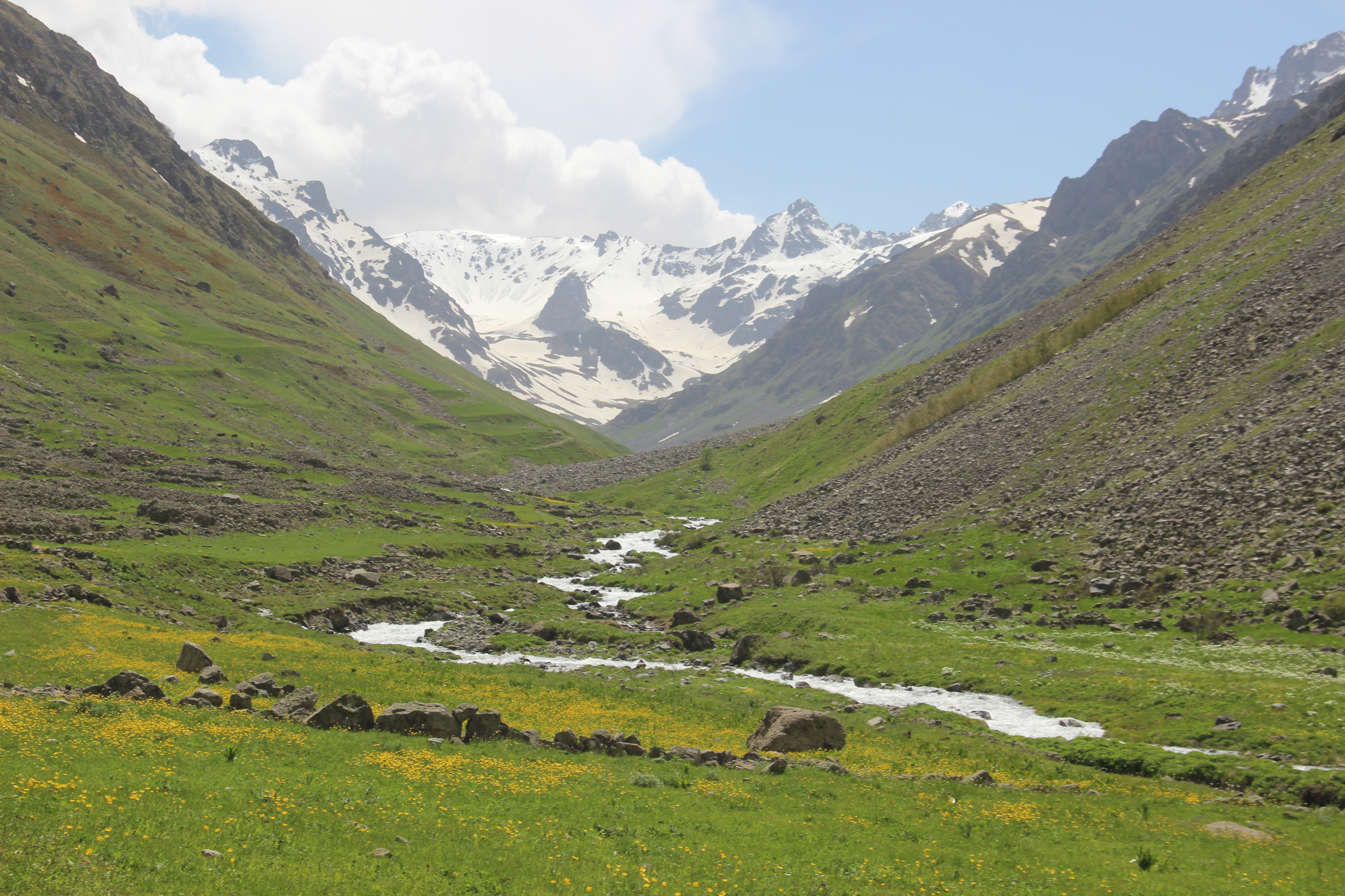 Kaçkar Dağları Olgunlar Yusufeli